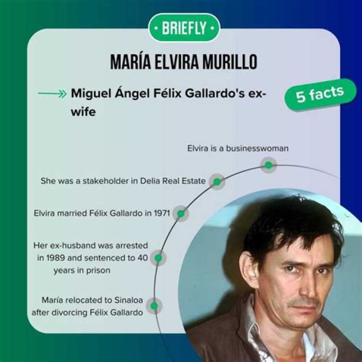 Miguel Ángel Félix Gallardo Biography, Age, Height, Wife, Net Worth and Family
